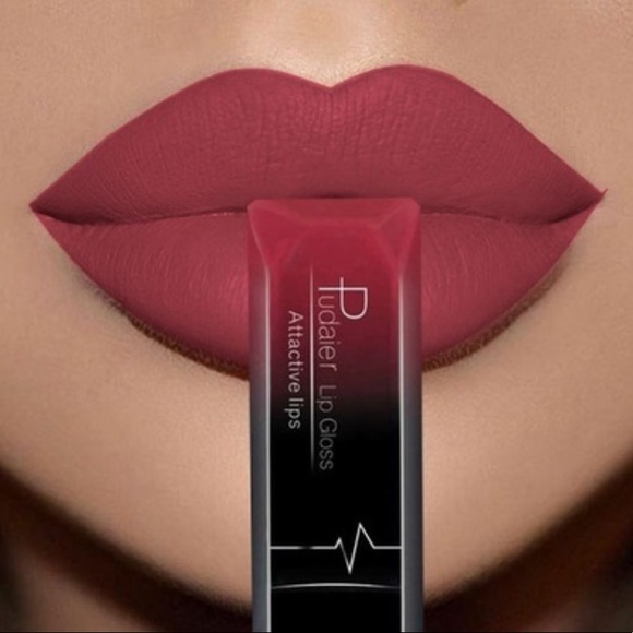 Other - Pudaier Lip color